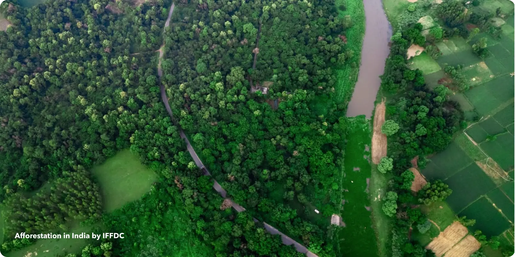 Afforestation in India by IFFDC